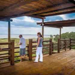world heritage half day safari