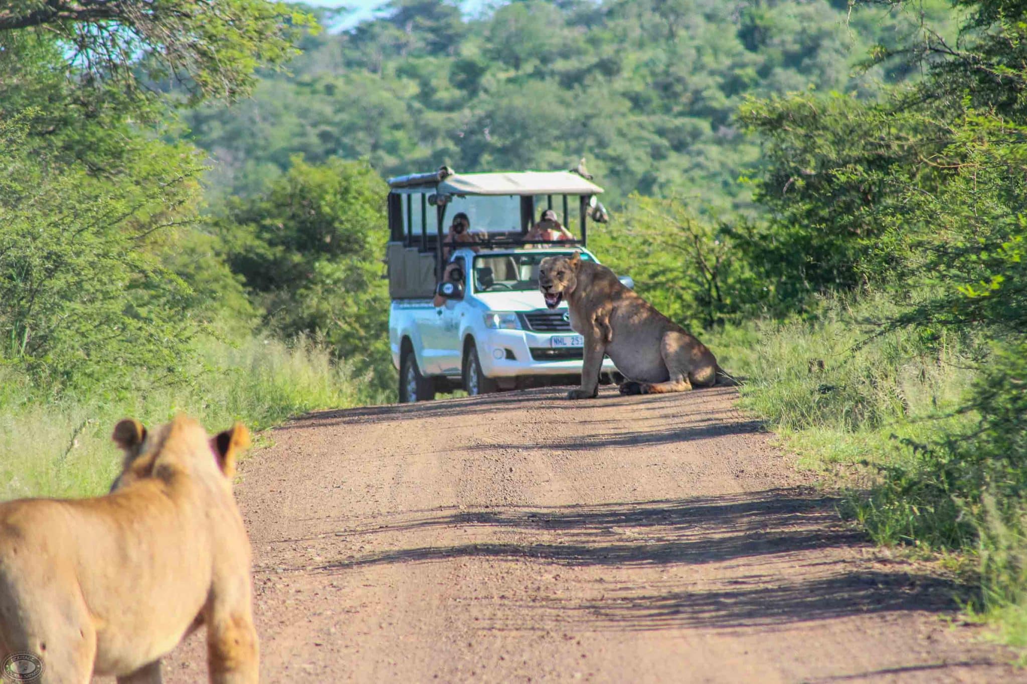 multi day safari options hluhluwe-imfolozi park
