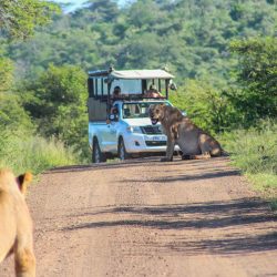 multi day safari options hluhluwe-imfolozi park