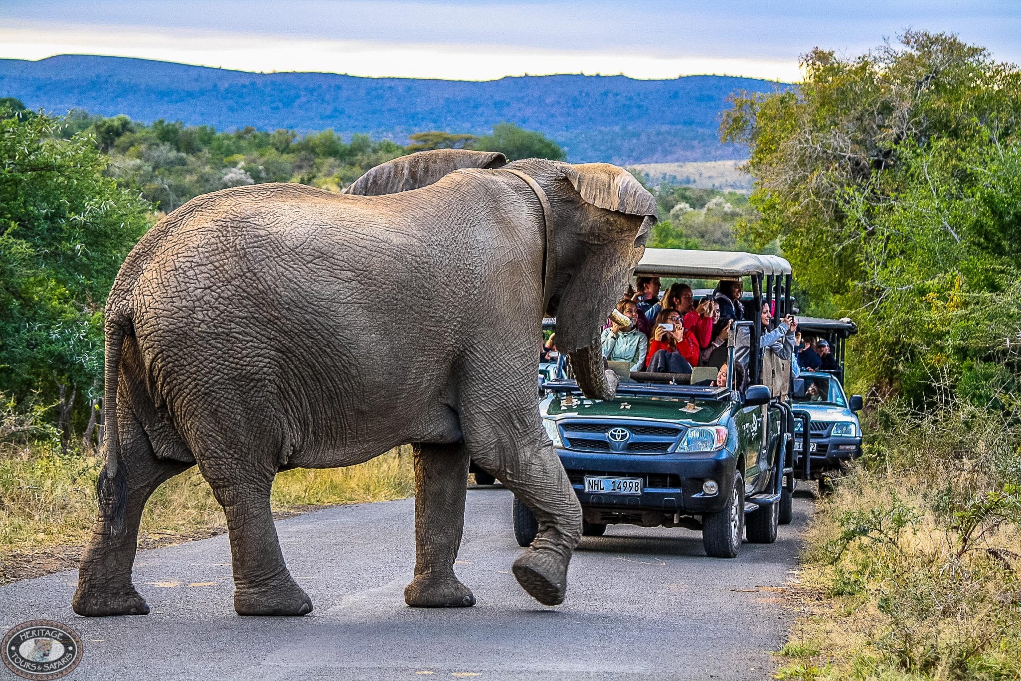 full day safari hluhluwe-imfolozi park safari