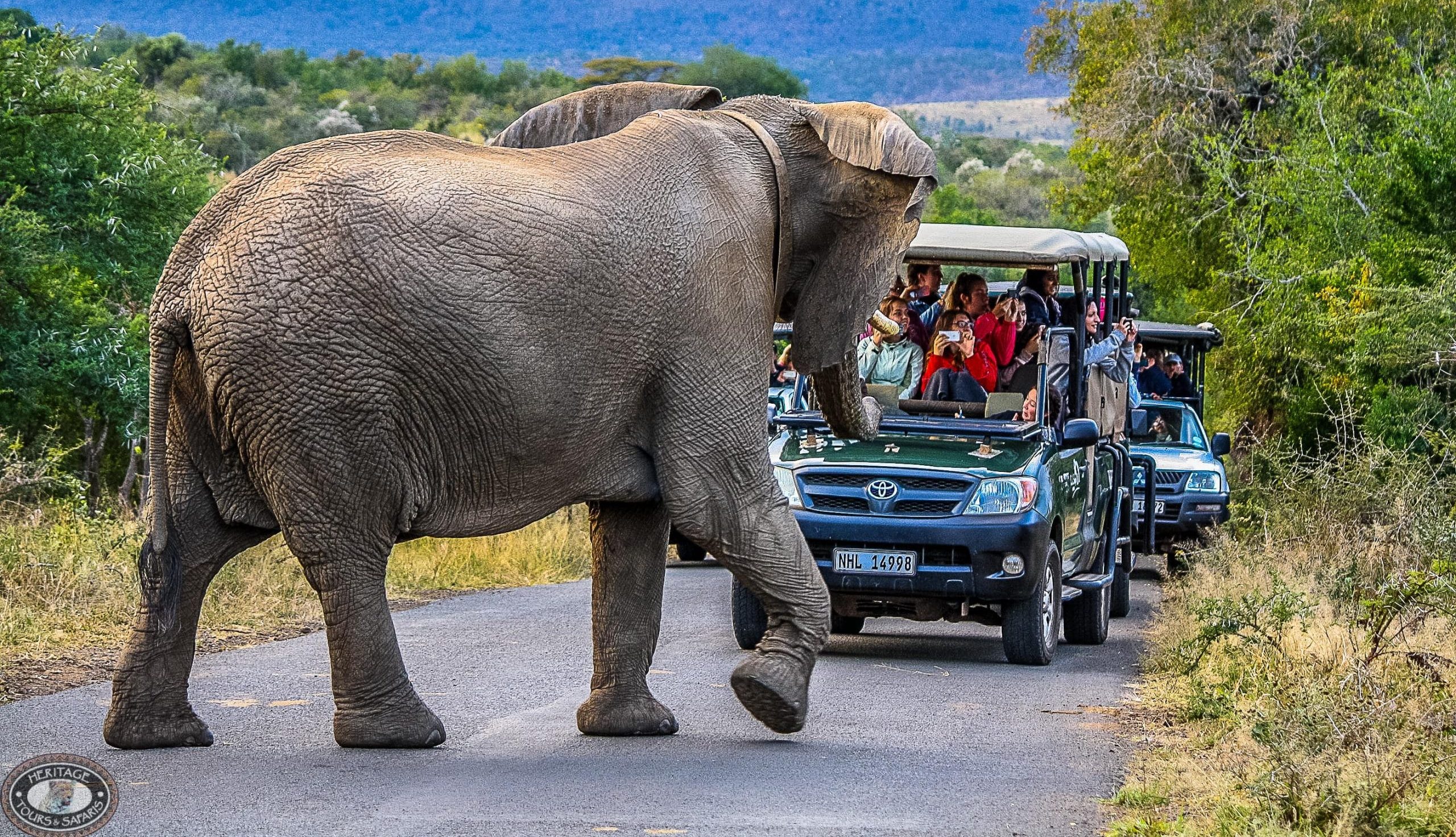 full day safari hluhluwe-imfolozi park safari