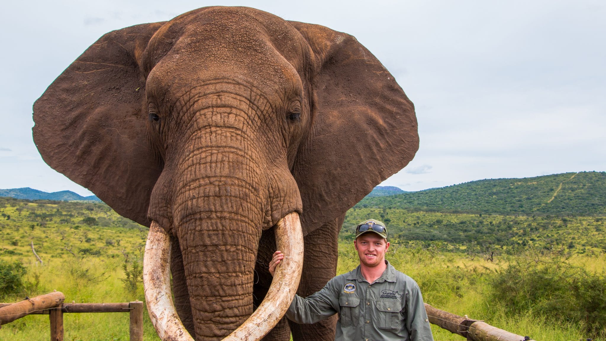 Hluhluwe Tourist Attractions 7 elephant interaction