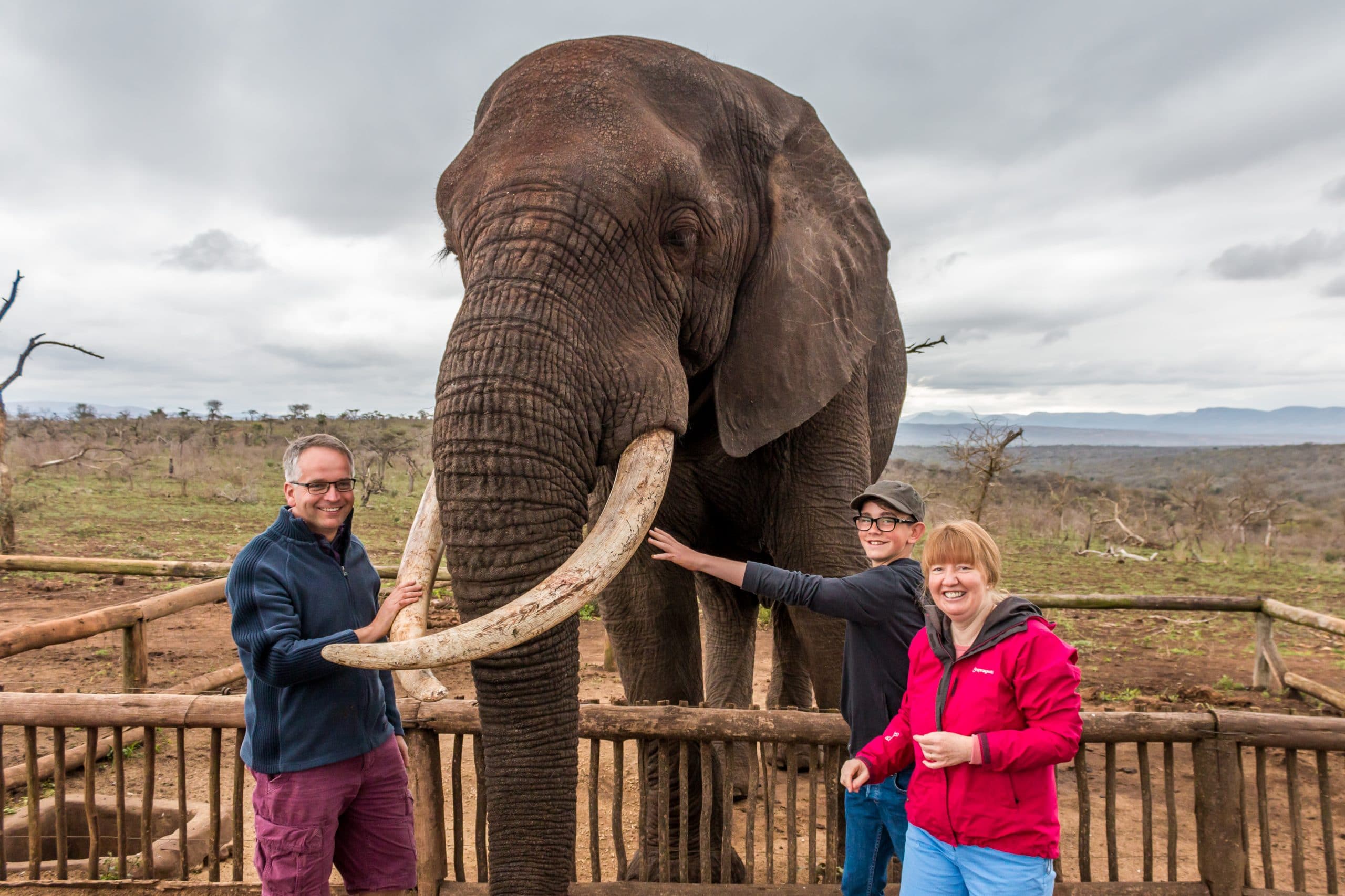 Manjoni Elephant interaction
