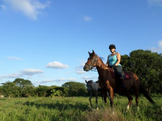 Hluhluwe Tourist Attractions 5 hluhluwe horse safaris