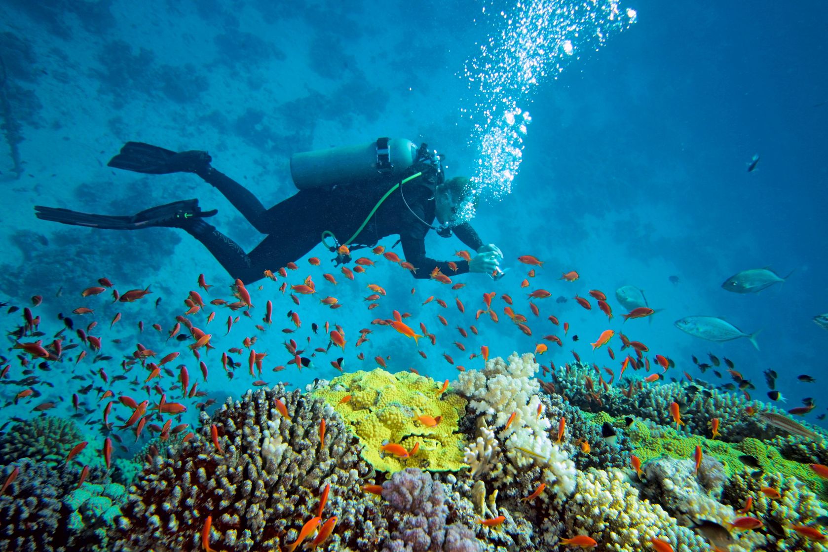 Hluhluwe Tourist Attractions 8 sodwana bay