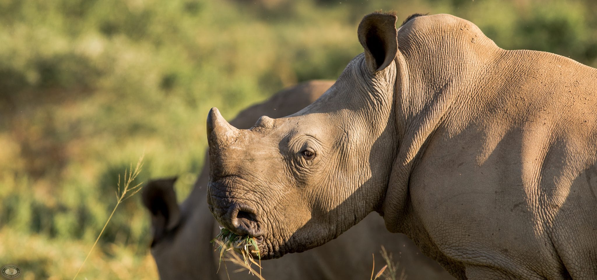 kwazulu natal top tourist attractions