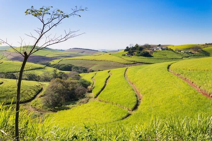KwaZulu Natal Top Tourist Attractions 3 valley of 1000 hills
