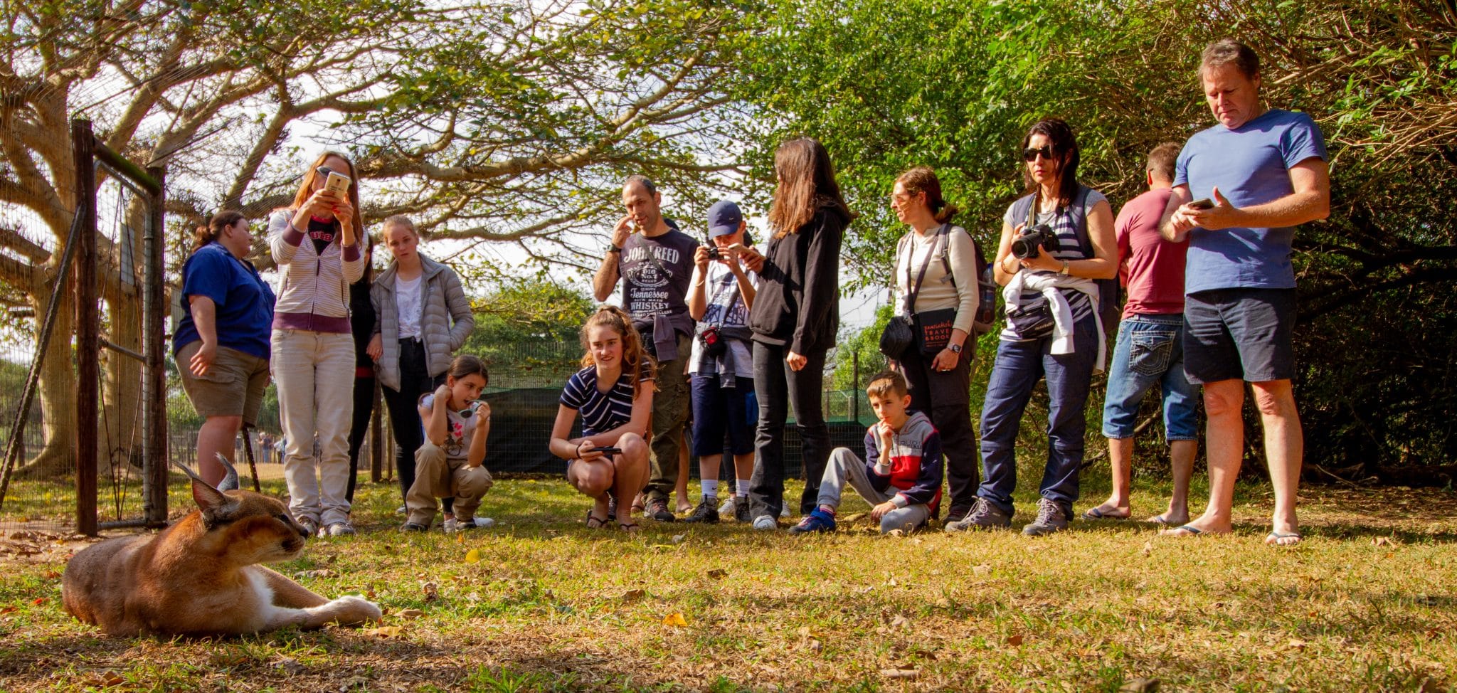 hluhluwe cheetah centre tour