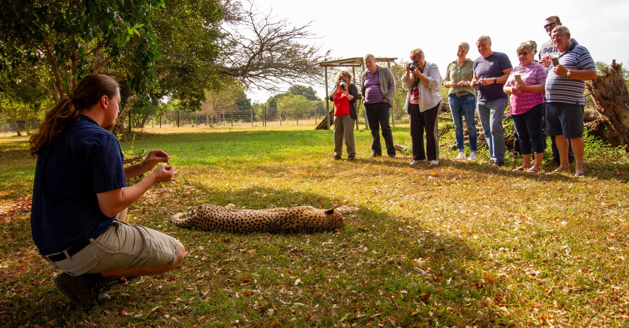 cheetah and clients