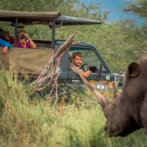 7 Night South Africa Safari Package 4 Bush & Boat Safari