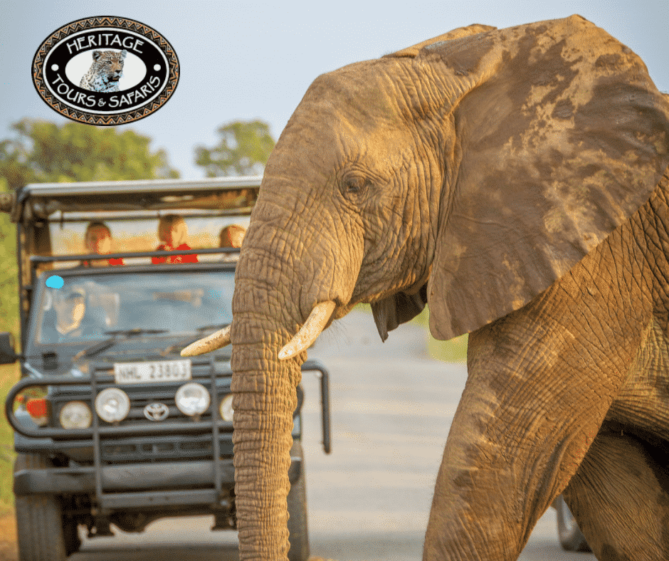 hluhluwe exclusive private safari