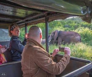 bush & boat safari