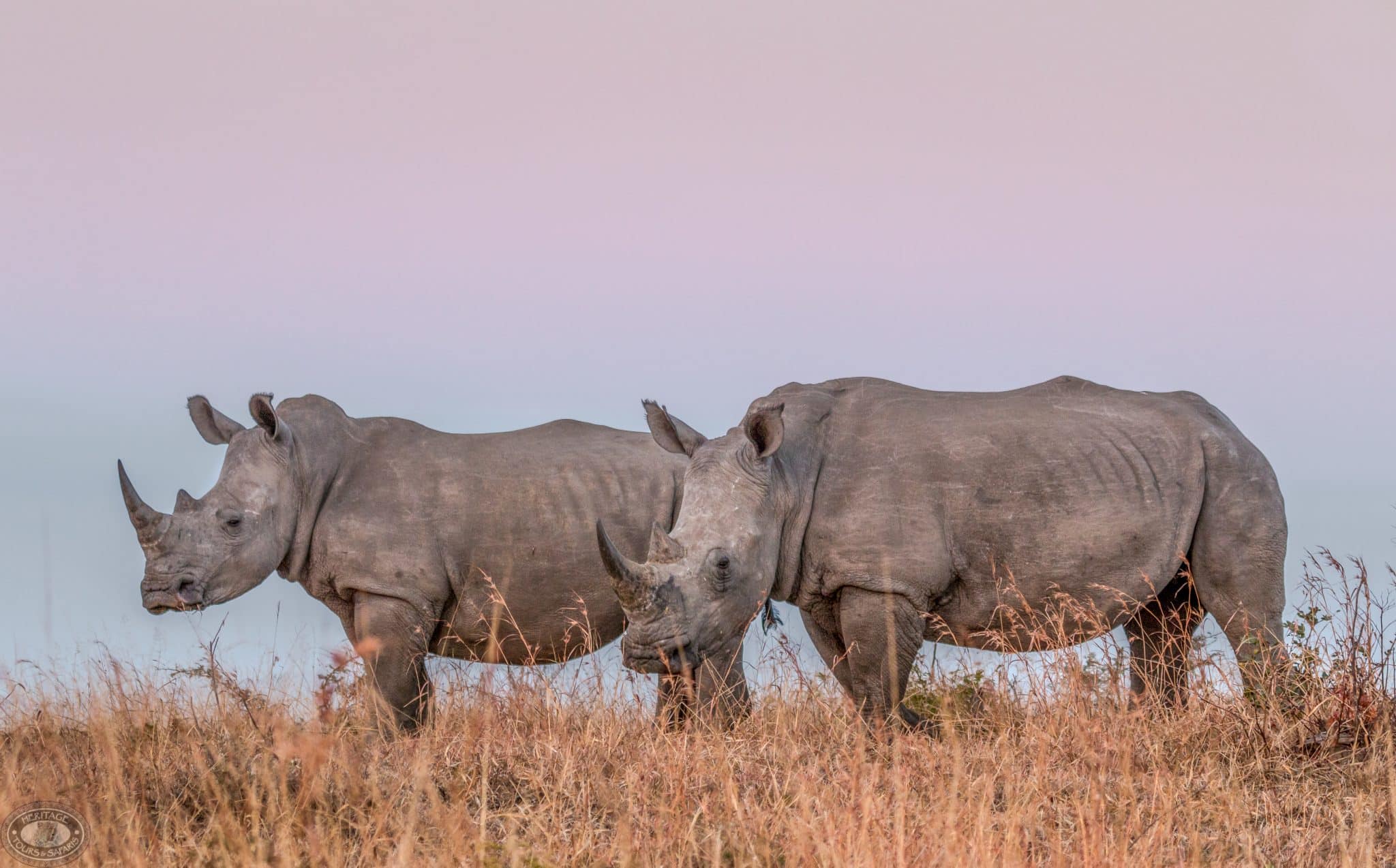 exclusive big 5 safari