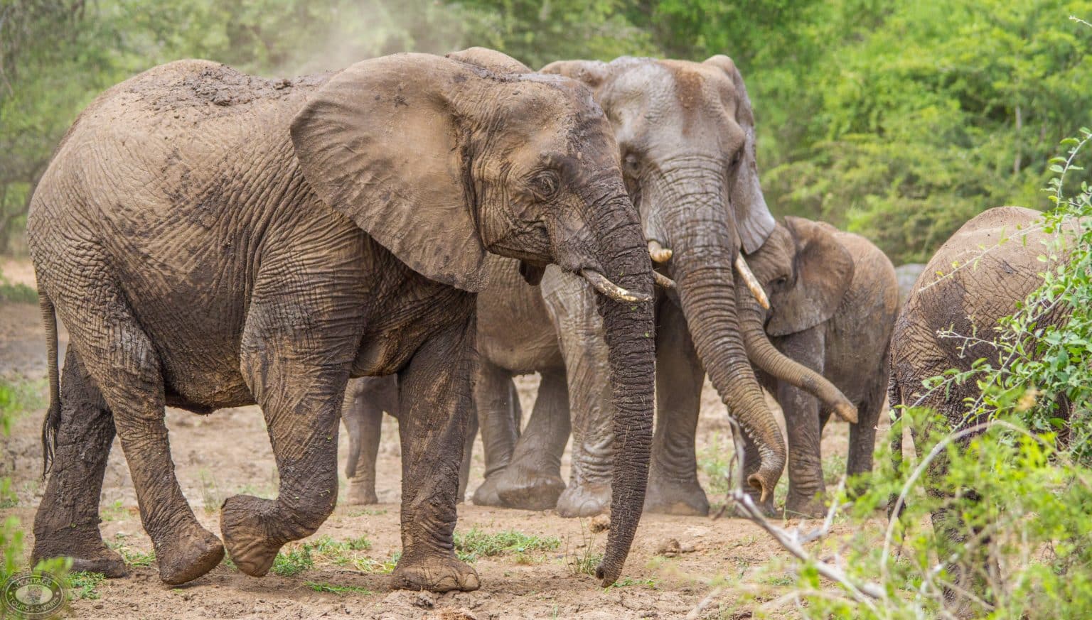 Imfolozi - Umfolozi Game Reserve
