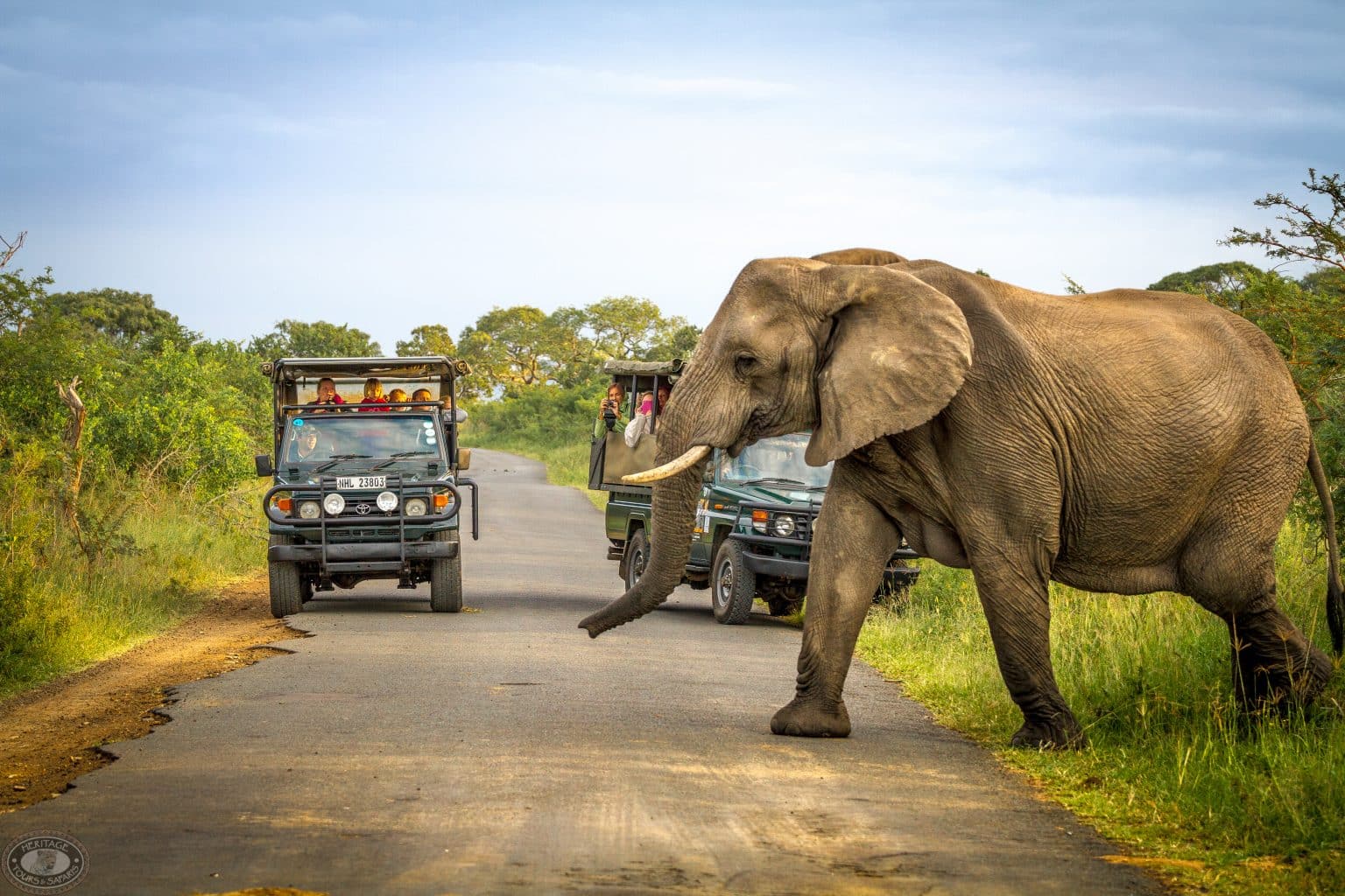 private and exclusive big 5 safaris