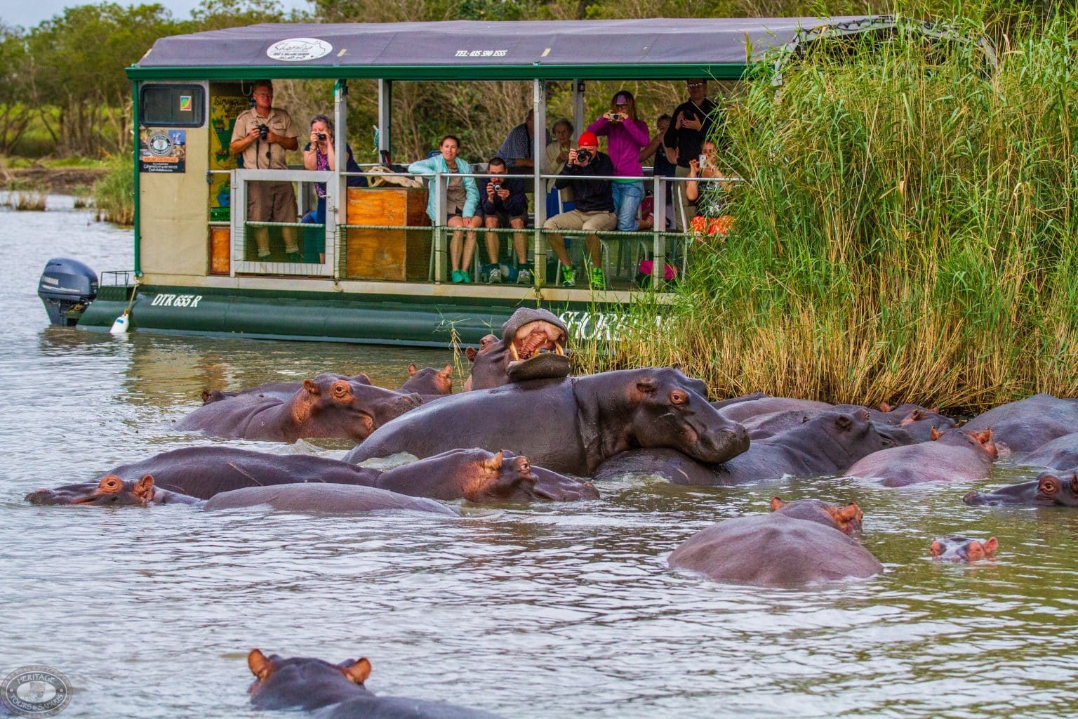 safari holdays big 5 south africa