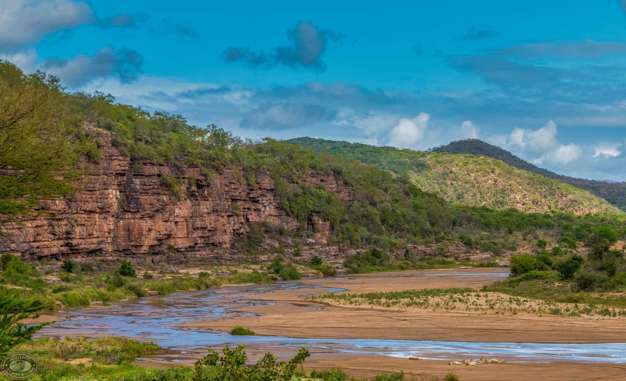 your first safari into hluhluwe-imfolozi park