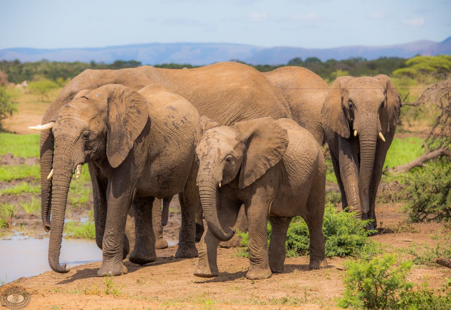 why visit hluhluwe game reserve