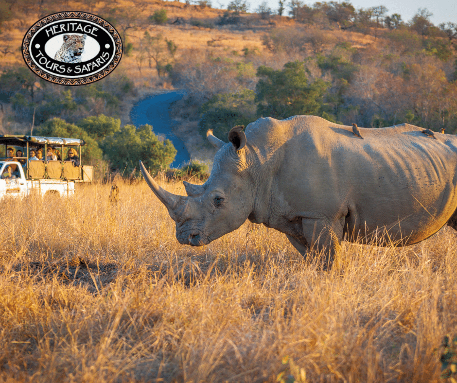 2 Night Safari Package KwaZulu Natal South Africa