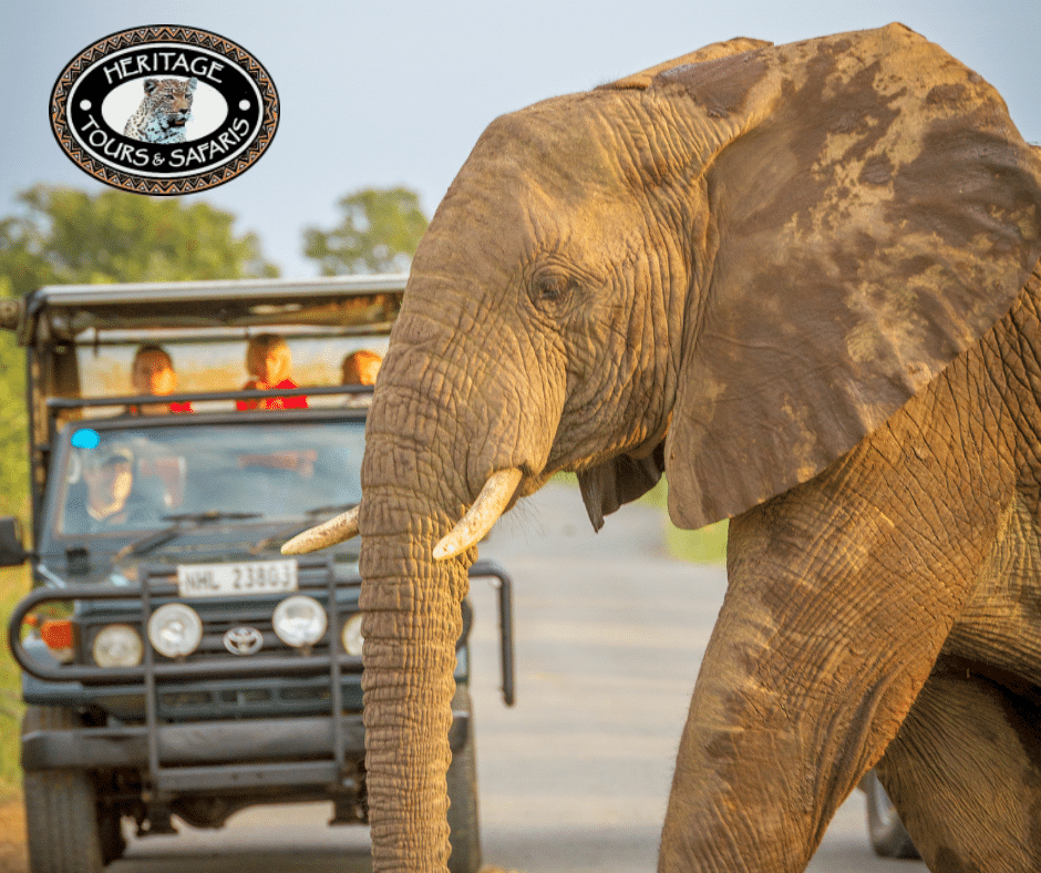 2 Night Safari Package South Africa