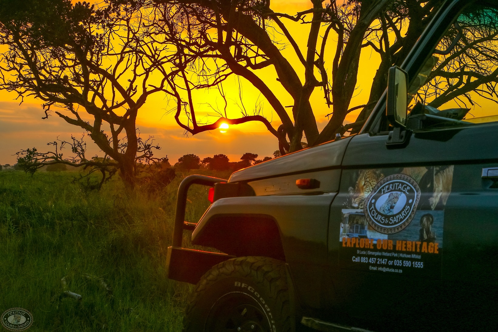 sunset or night drive safari hluhluwe