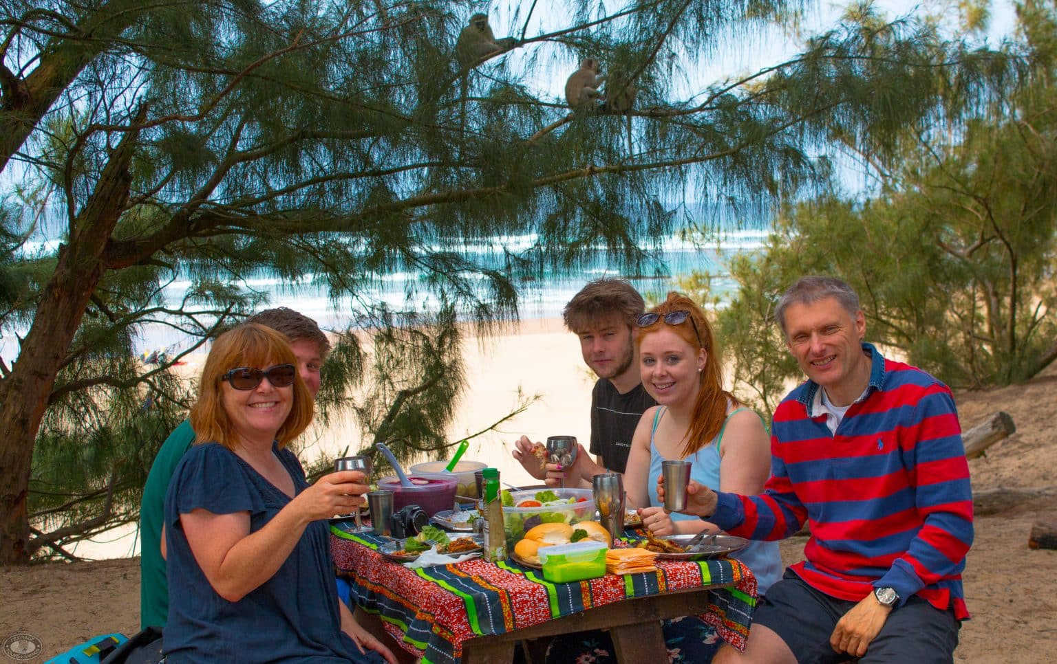 3 night south africa safari package