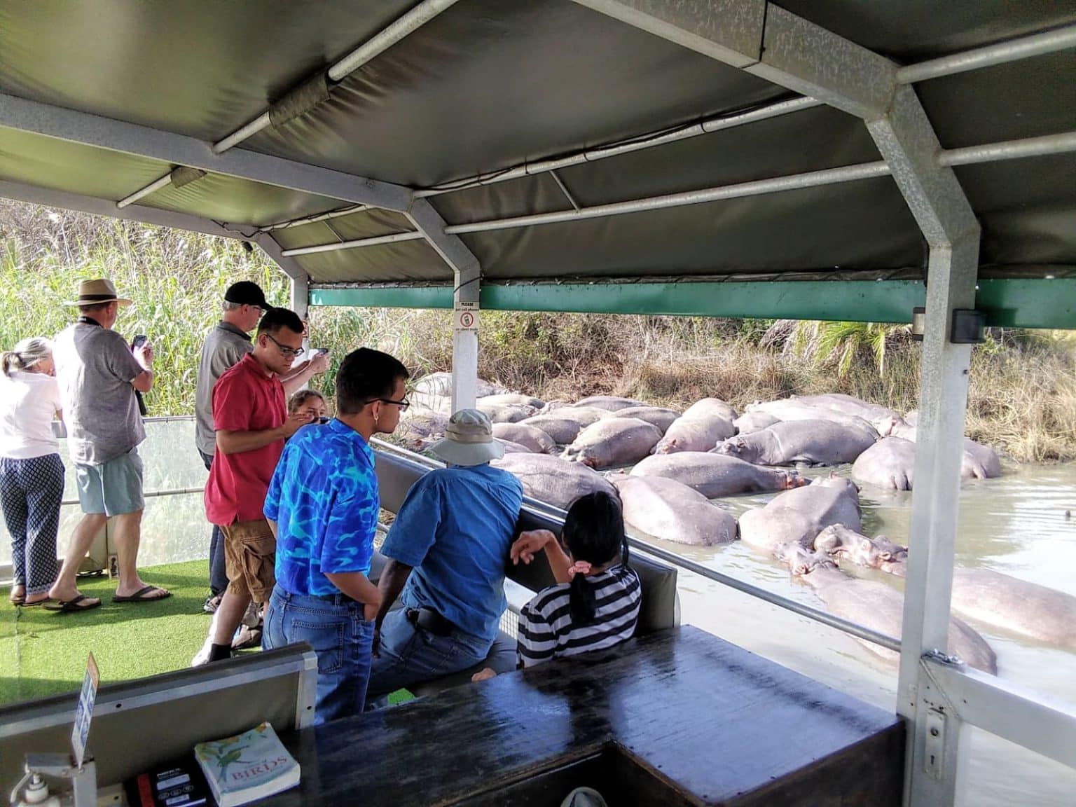 safari package south africa clients