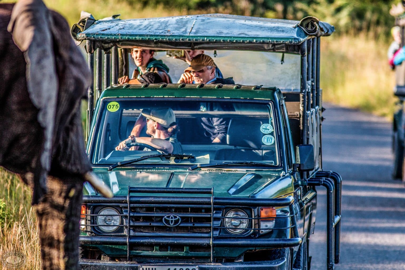 only six on safari
