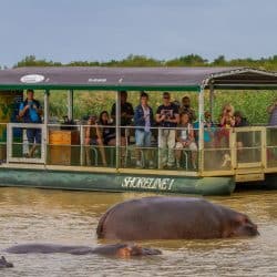 3 night hluhluwe safari package includes a hippo boat trip