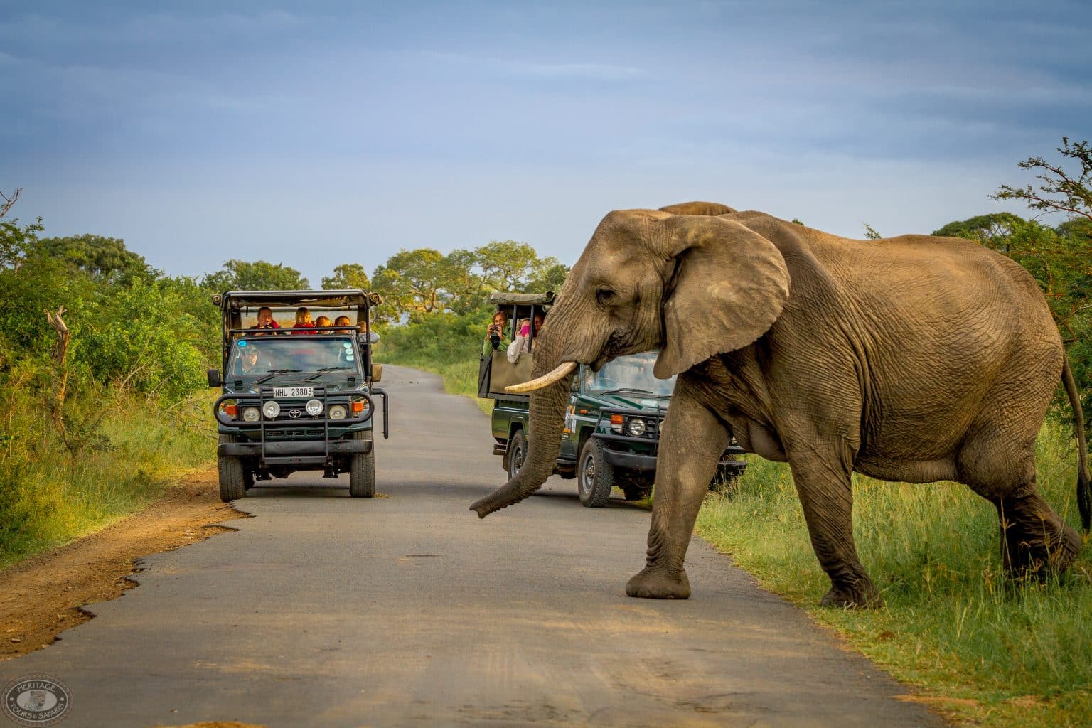 3 night safari package kwazulu natal
