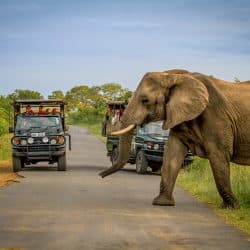 3 night safari package kwazulu natal