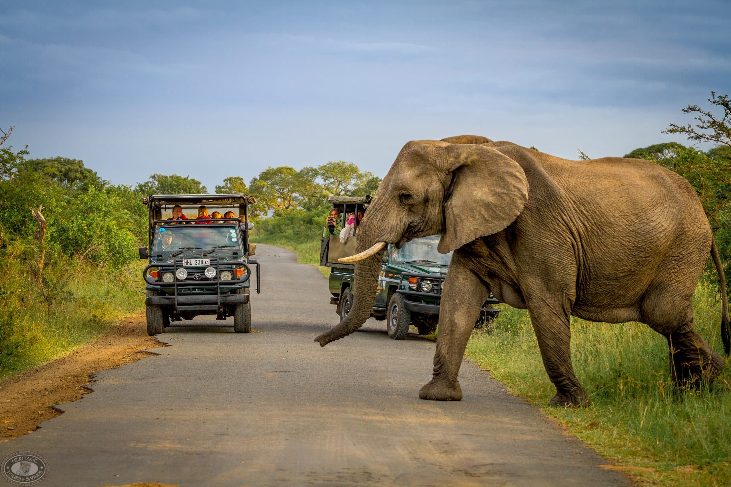 3 night safari package kwazulu natal
