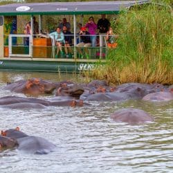pod of hippos clients on 3 night package natal