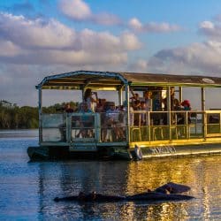 shoreline sunset tour