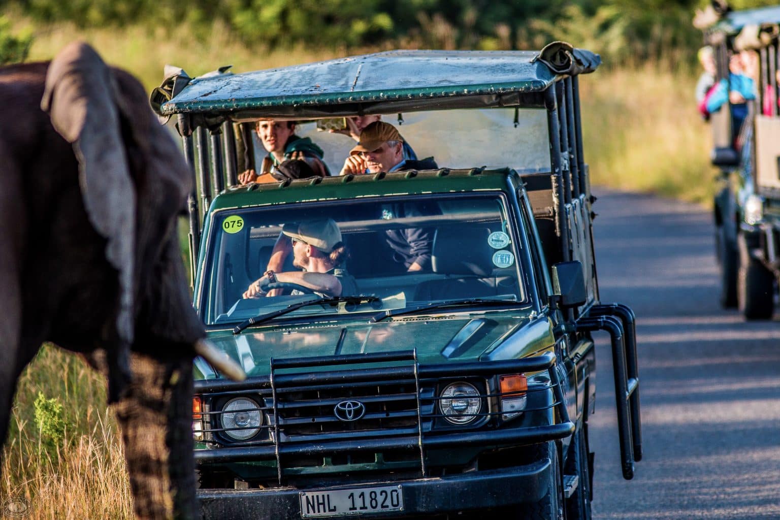 six only on safari hluhluwe