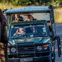 six only on safari hluhluwe