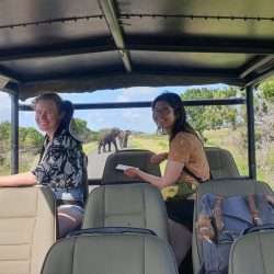 safari for six people only hluhluwe imfolozi park