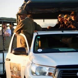 six on safari clients hluhluwe imfolozi park safari