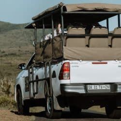 open game drive vehicle