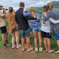 half day big 5 hluhluwe imfolozi park safari