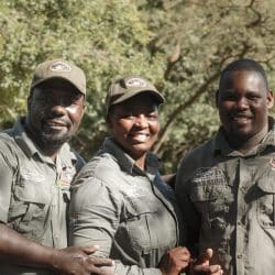 guides on safari