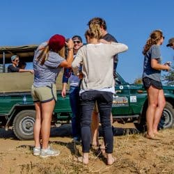 Full-Day Hluhluwe Safari Experience