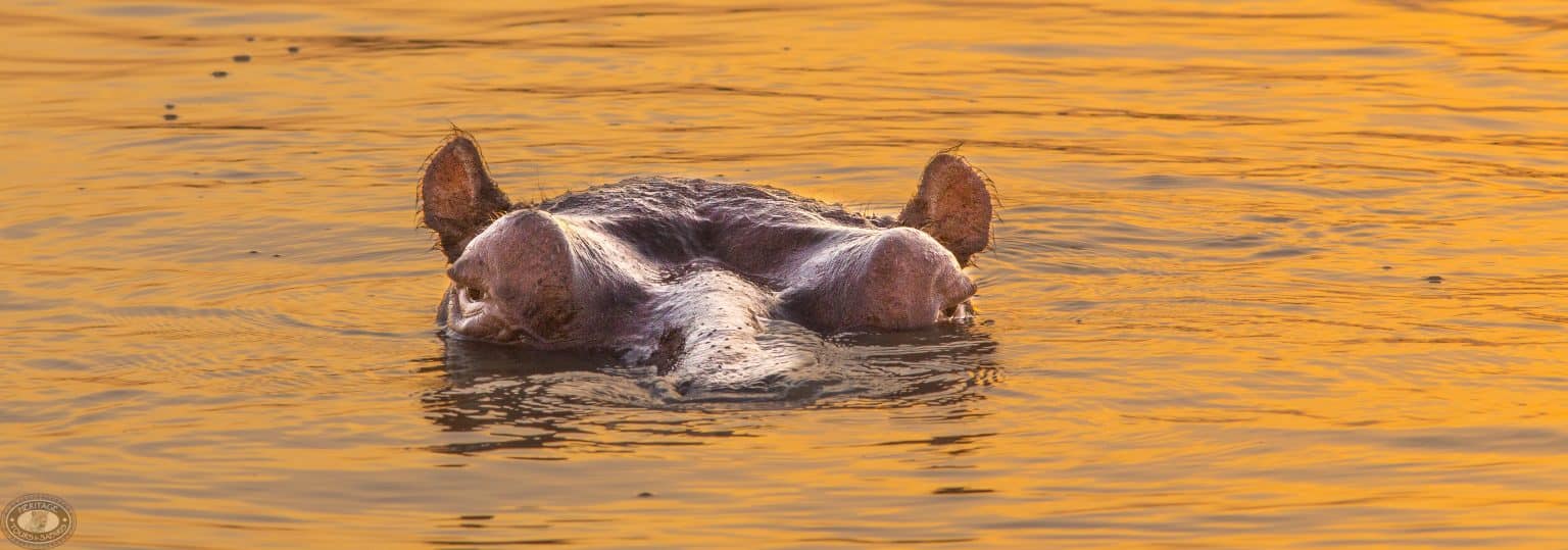 iSimangaliso Wetland Park