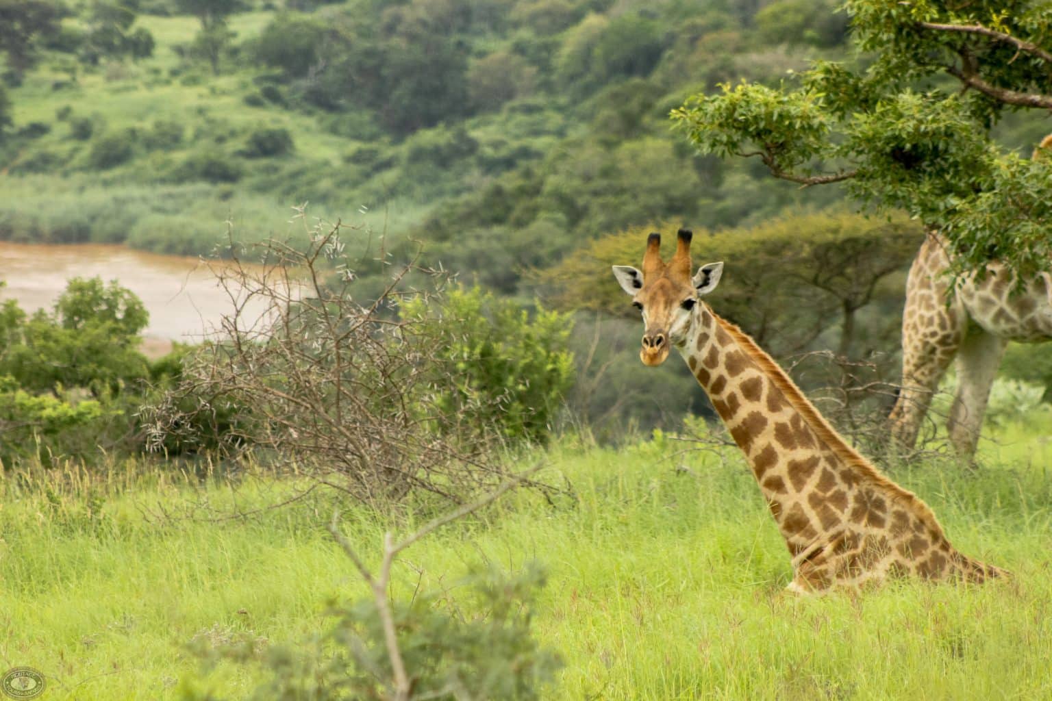 6. Praktische Tips voor een Goedkope Safari in Afrika