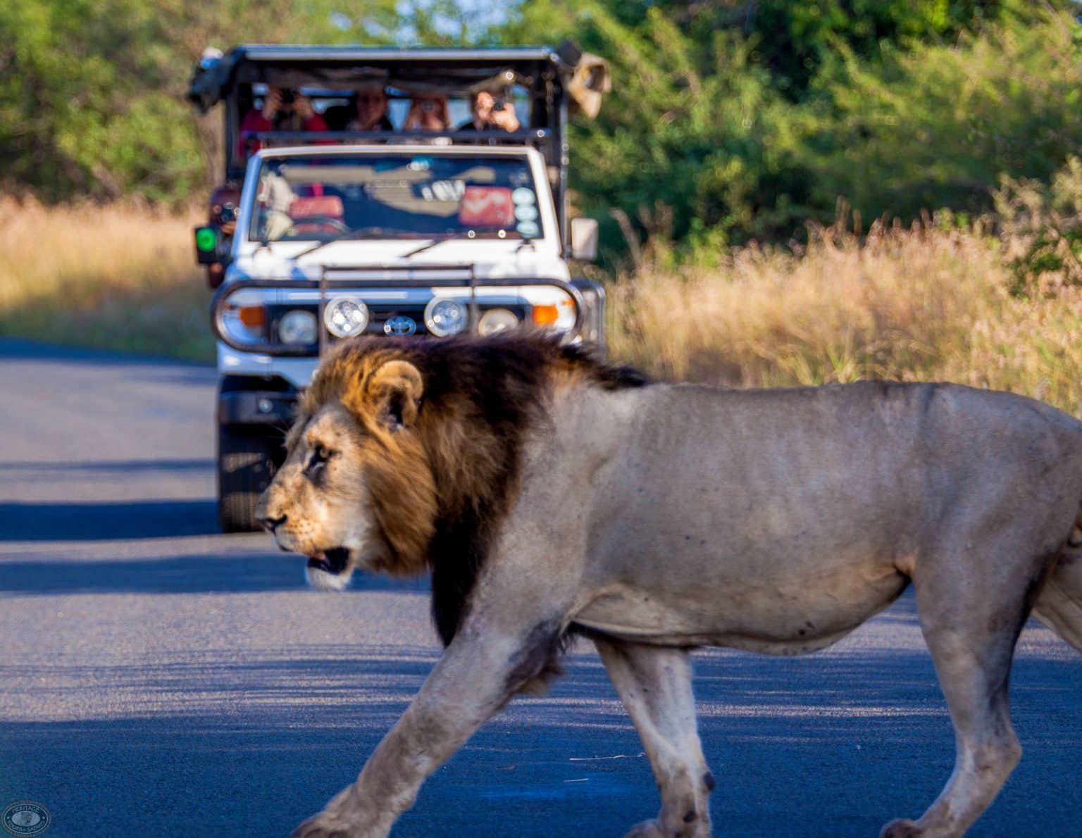 7. Slim Boeken bij het Hluhluwe Imfolozi Game Reserve
