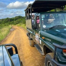 4 day 3 night safari package clients