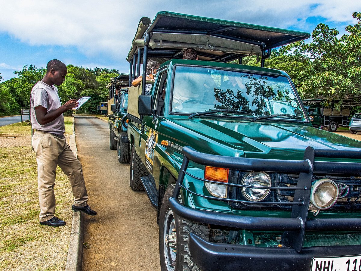 Hluhluwe Imfolozi Park – Your Top 20 Safari Questions Answered 2026