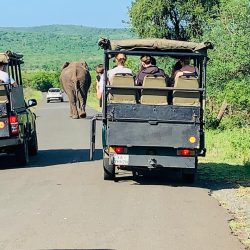 clients out in the hluhluwe imfolozi park on a safari package