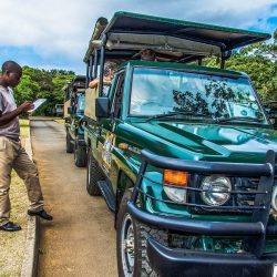 isimangaliso wetland park tours