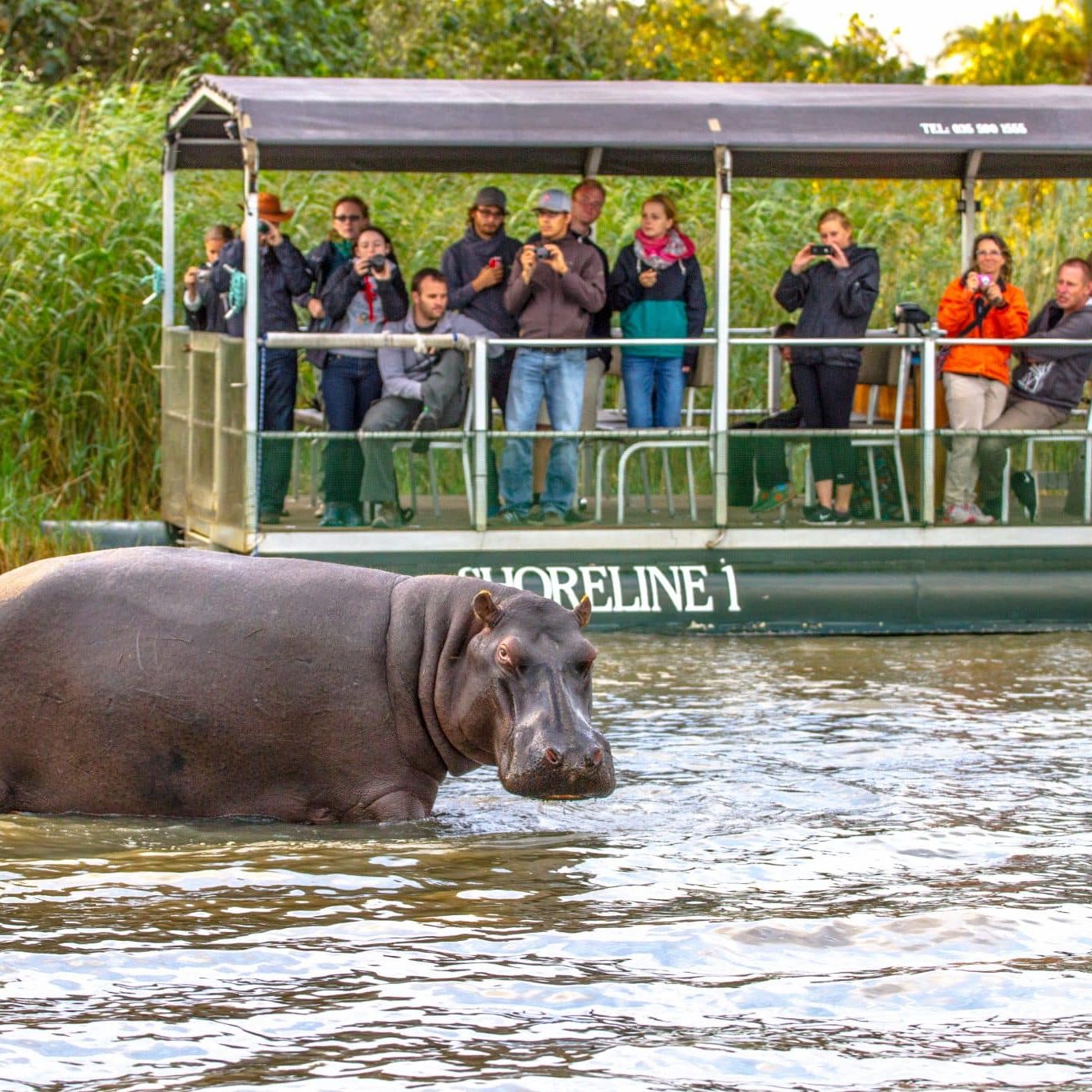 From Durban to the Wild Hluhluwe and St Lucia Weekend Safari Getaways